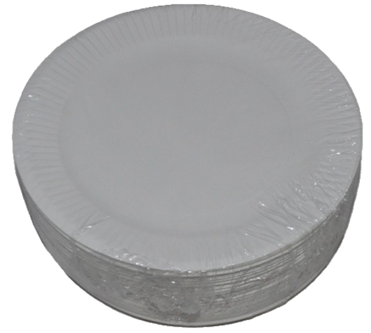 Disposable Paper Plates - 18cm